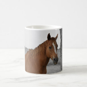 Braunes Pferd, B&W Tasse