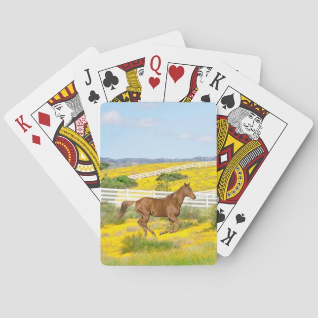 Braunes Pferd, das auf Feldkarten läuft Spielkarten (Rückseite)