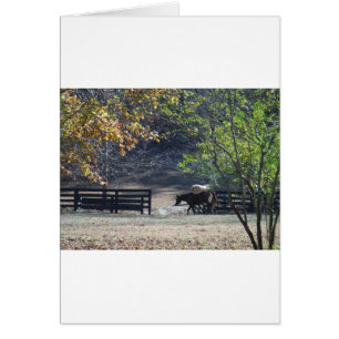 Braunes Pferd durch den Zaun