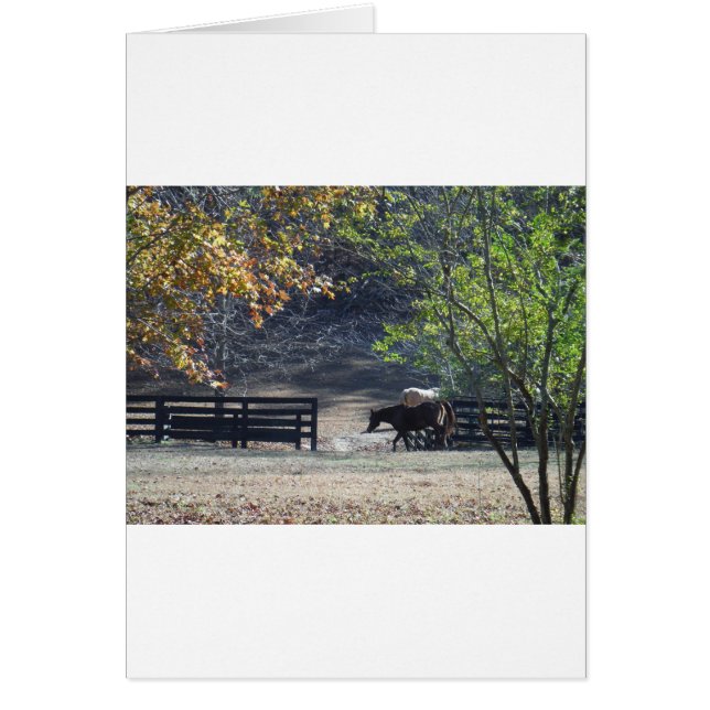 Braunes Pferd durch den Zaun (Vorne)