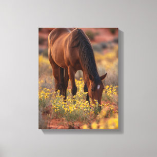 Braunes Pferd Gelbe Wildblume Wüstenkunst Leinwanddruck