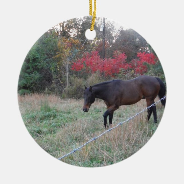 Braunes Pferd im roten Herbst Keramikornament (Vorne)