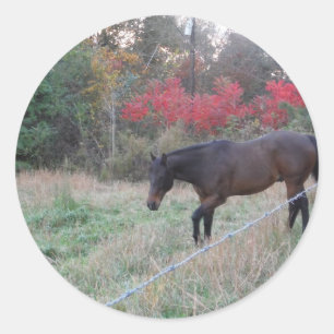 Braunes Pferd im roten Herbst Runder Aufkleber