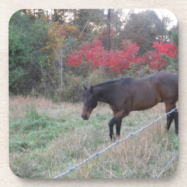 Braunes Pferd im roten Herbst Untersetzer (Vorderseite)