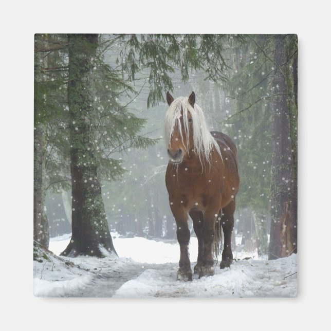 Braunes Pferd im Winterwald mit Schneefall Magnet (Vorne)
