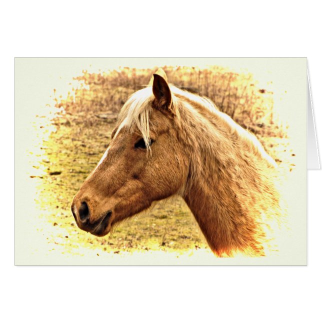 Braunes Pferd in der Blankkarte von Sun Animal (Vorderseite (Horizontal))