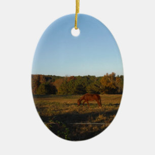 Braunes Pferd in der Sonne Keramikornament