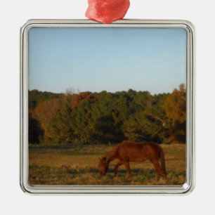 Braunes Pferd in der Sonne Ornament Aus Metall
