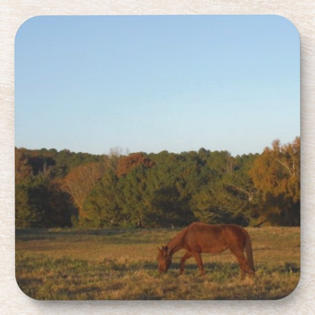 Braunes Pferd in der Sonne Untersetzer (Vorderseite)