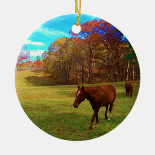 Braunes Pferd in einem Rainbow-farbenen Feld Keramikornament (Vorne)