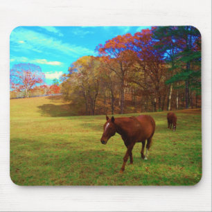 Braunes Pferd in einem Rainbow-farbenen Feld Mousepad