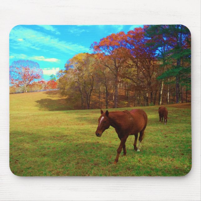 Braunes Pferd in einem Rainbow-farbenen Feld Mousepad (Vorne)