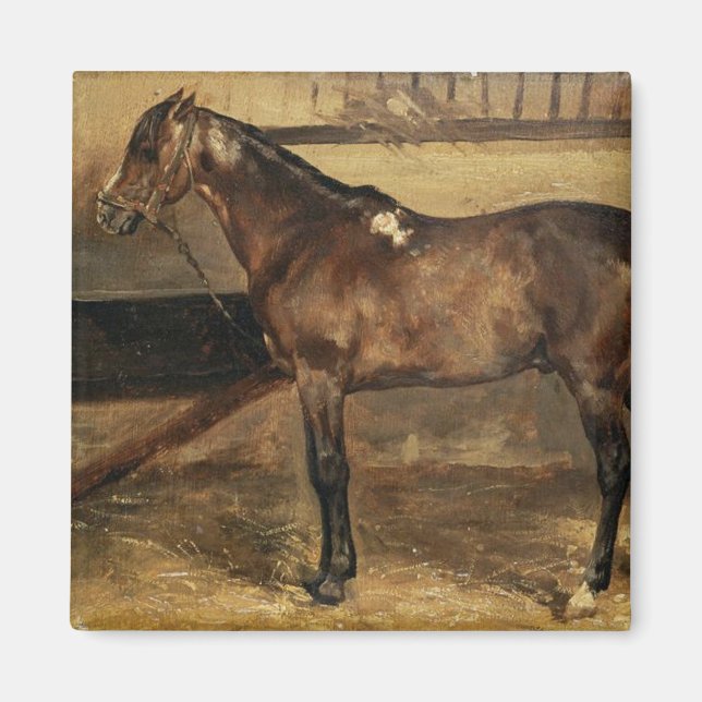 Braunes Pferd in Stallungen Magnet (Vorne)
