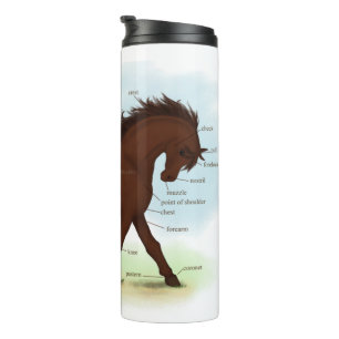 Braunes Pferd Lehrreiches Equines Anatomie-Chart Thermosbecher