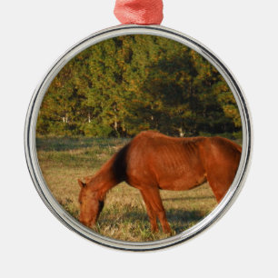 Braunes Pferd mit Pinienbäumen Silbernes Ornament