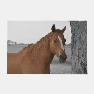 Braunes Pferd mit schwarzem und weißem Hintergrund Fußmatte