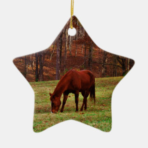 Braunes Pferd mit weißer Nase an der Holzkante Keramikornament