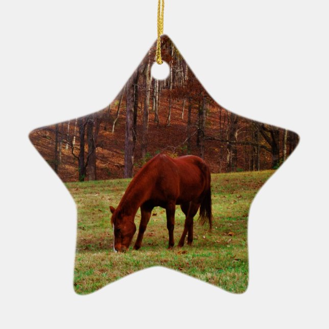 Braunes Pferd mit weißer Nase an der Holzkante Keramikornament (Vorne)