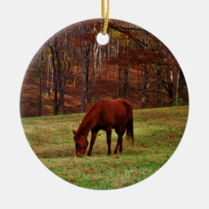 Braunes Pferd mit weißer Nase an der Holzkante Keramikornament