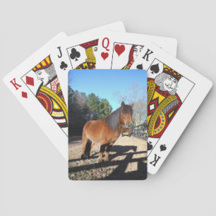 Braunes Pony Türkis Himmel Spielkarten