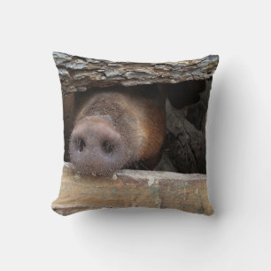 Braunes Schwein steckt die Nase durch einen rustik Kissen