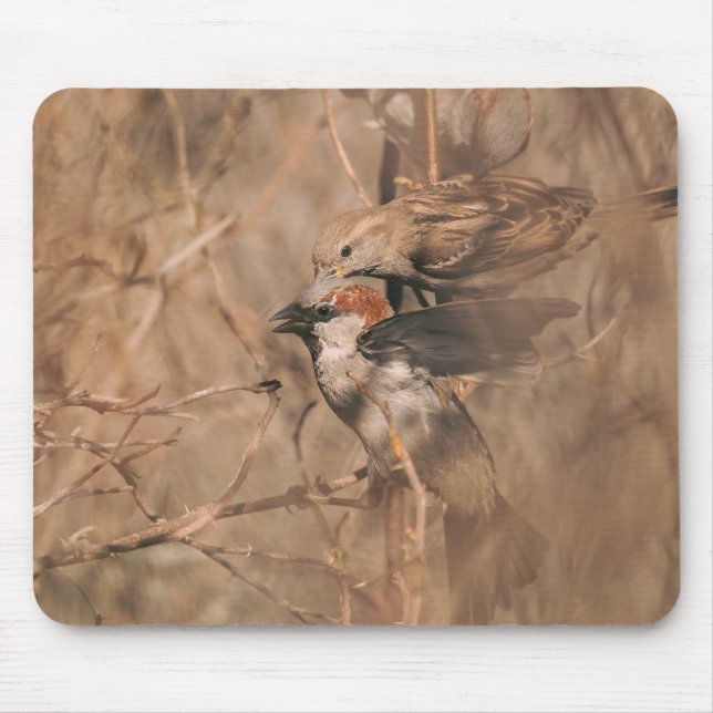 Braunes Sperlingsvögel Rustikale Waldlandschaft Wi Mousepad (Vorne)