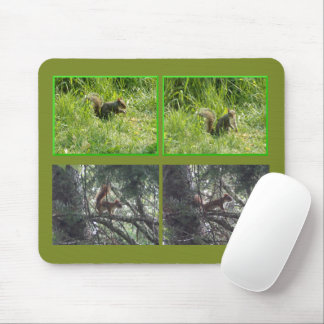 Braunes und rotes Eichhörnchen-Mauspad Mousepad