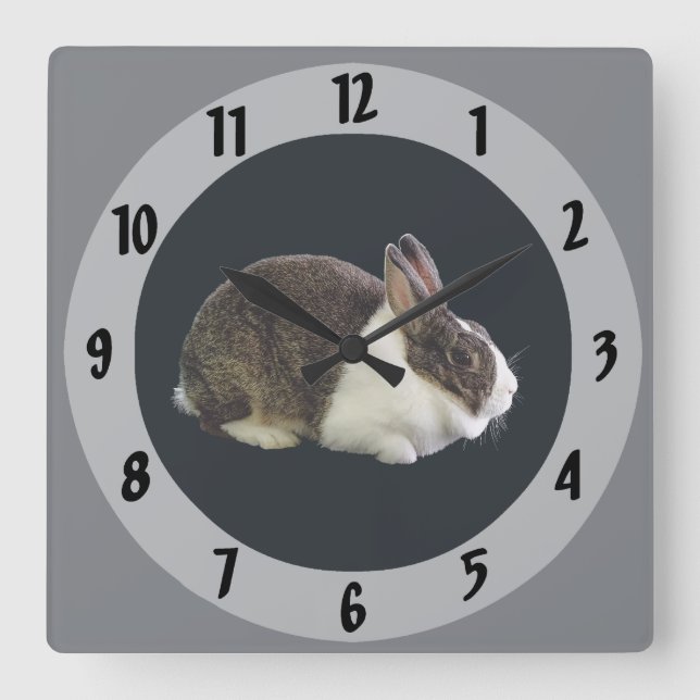Braunes und weißes holländisches Rabbit Quadratische Wanduhr (Vorderseite)