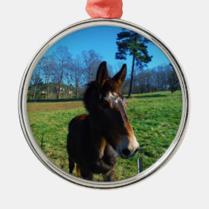 Braunes und weißes Maultier Silbernes Ornament