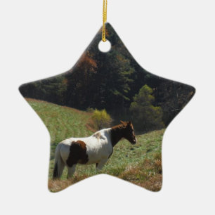 Braunes und weißes Pferd im Herbstteich Keramik Ornament