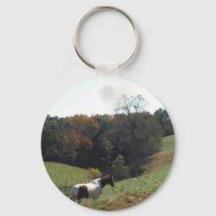 Braunes und weißes Pferd im Herbstteich Schlüsselanhänger