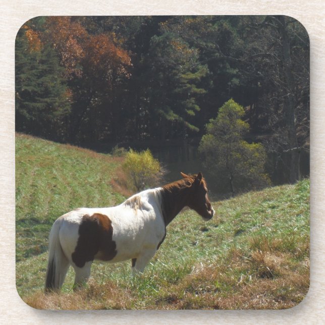 Braunes und weißes Pferd im Herbstteich Untersetzer (Vorderseite)