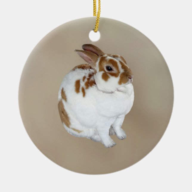 Braunes und weißes Rex-Kaninchen Keramik Ornament (Vorne)