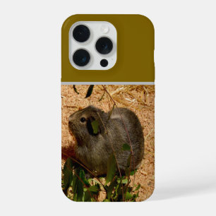 Braunes Zwergmeerschweinchen in Blättern, iPhone 15 Pro Hülle