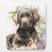 Braunfarbener Labrador Retriever und Blume
