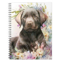 Braunfarbener Labrador Retriever und Blume