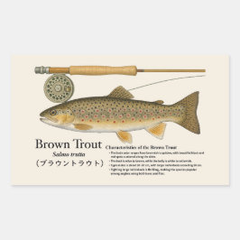 Braunforelle (Salmo trutta) – Englische Illustrati Rechteckiger Aufkleber
