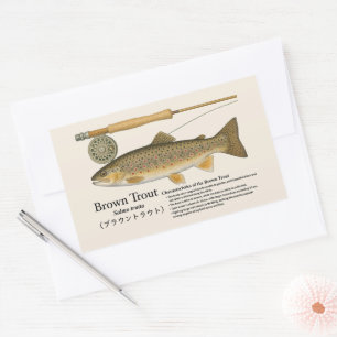 Braunforelle (Salmo trutta) – Englische Illustrati Rechteckiger Aufkleber