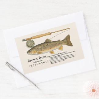 Braunforelle (Salmo trutta) – Englische Illustrati Rechteckiger Aufkleber