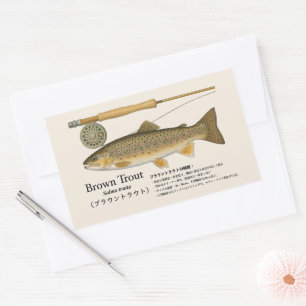 Braunforelle (Salmo trutta) – Japanische Illustrat Rechteckiger Aufkleber