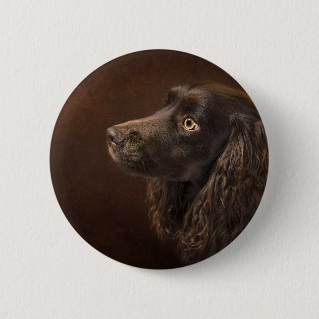 Braunhaarhund Button (Vorderseite)