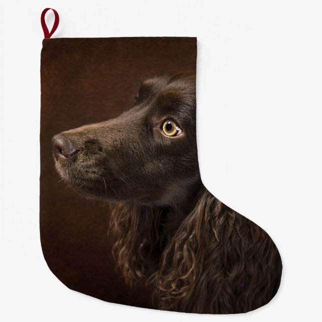 Braunhaarhund Großer Weihnachtsstrumpf (Vorderseite)
