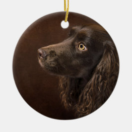 Braunhaarhund Keramik Ornament