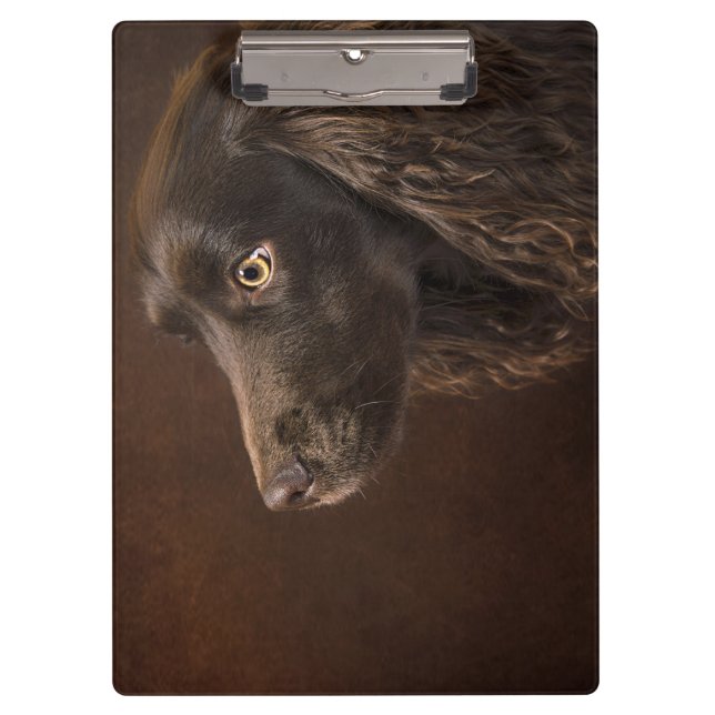 Braunhaarhund Klemmbrett (Vorderseite)