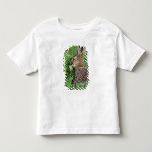 Braunhase, Lepus europaeus, Jungtier beim Fressen, Kleinkind T-shirt