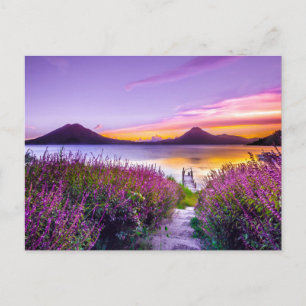 Braunhölzern zwischen Lavendelfeld und Blume Postkarte
