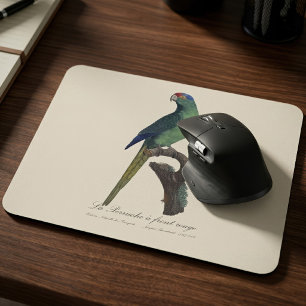 Braunkopfsittich, Eupsittula Canicularis Mousepad