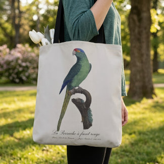 Braunkopfsittich, Eupsittula Canicularis Tasche