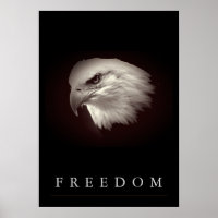 Bräunliche Freiheit Amerikanischer Adler Gesicht P