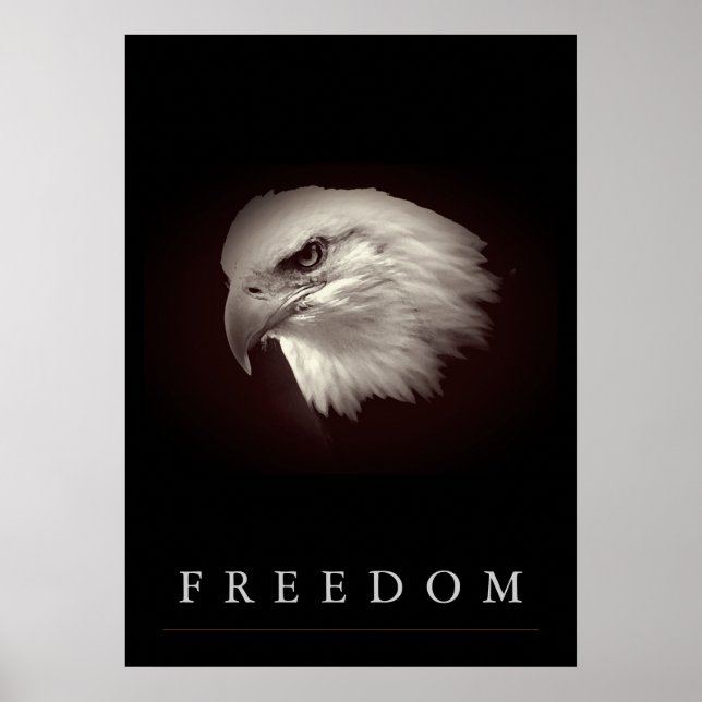 Bräunliche Freiheit Amerikanischer Adler Gesicht P Poster (Vorne)